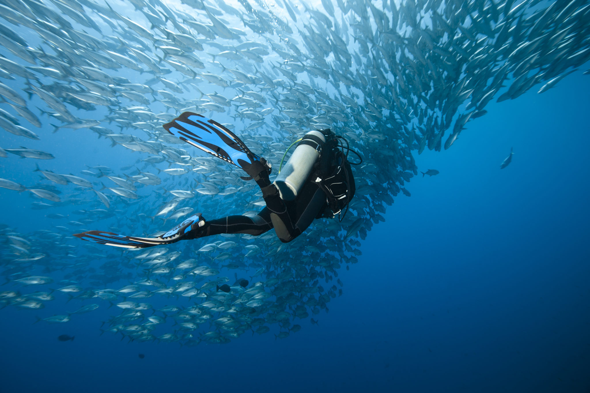 Scuba Diving Phuket - Multilevel Computer Diver Course - Manta DIve Phuket